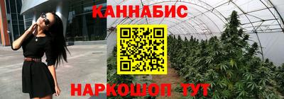 мяу мяу мука Кингисепп