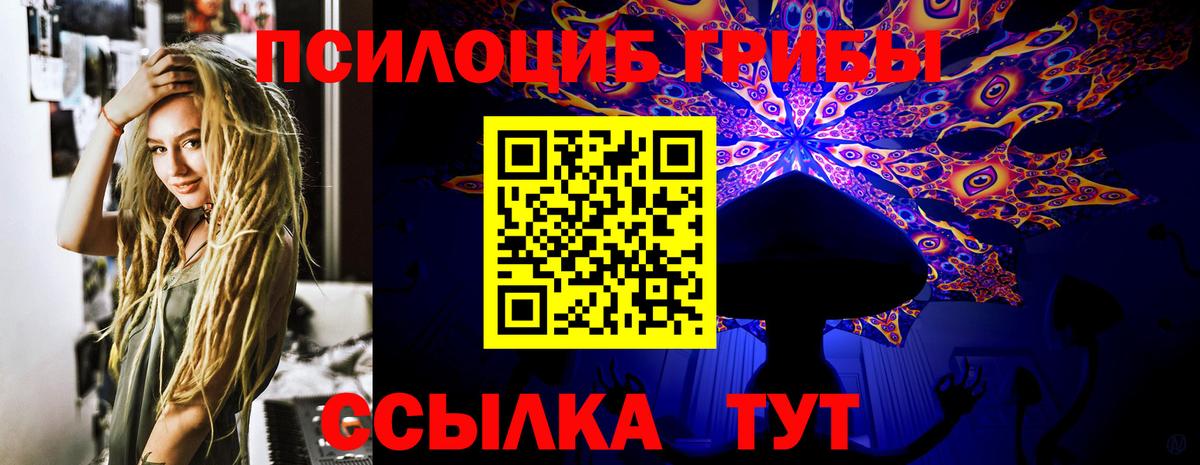 Владикавказ  Галлюциногенные грибы GOLDEN TEACHER  Вход с VPN 